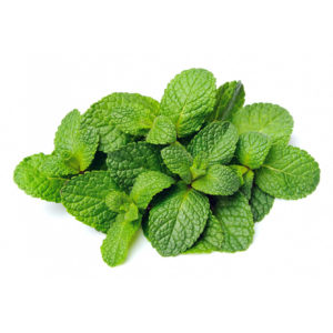 Menthe fraîche Image